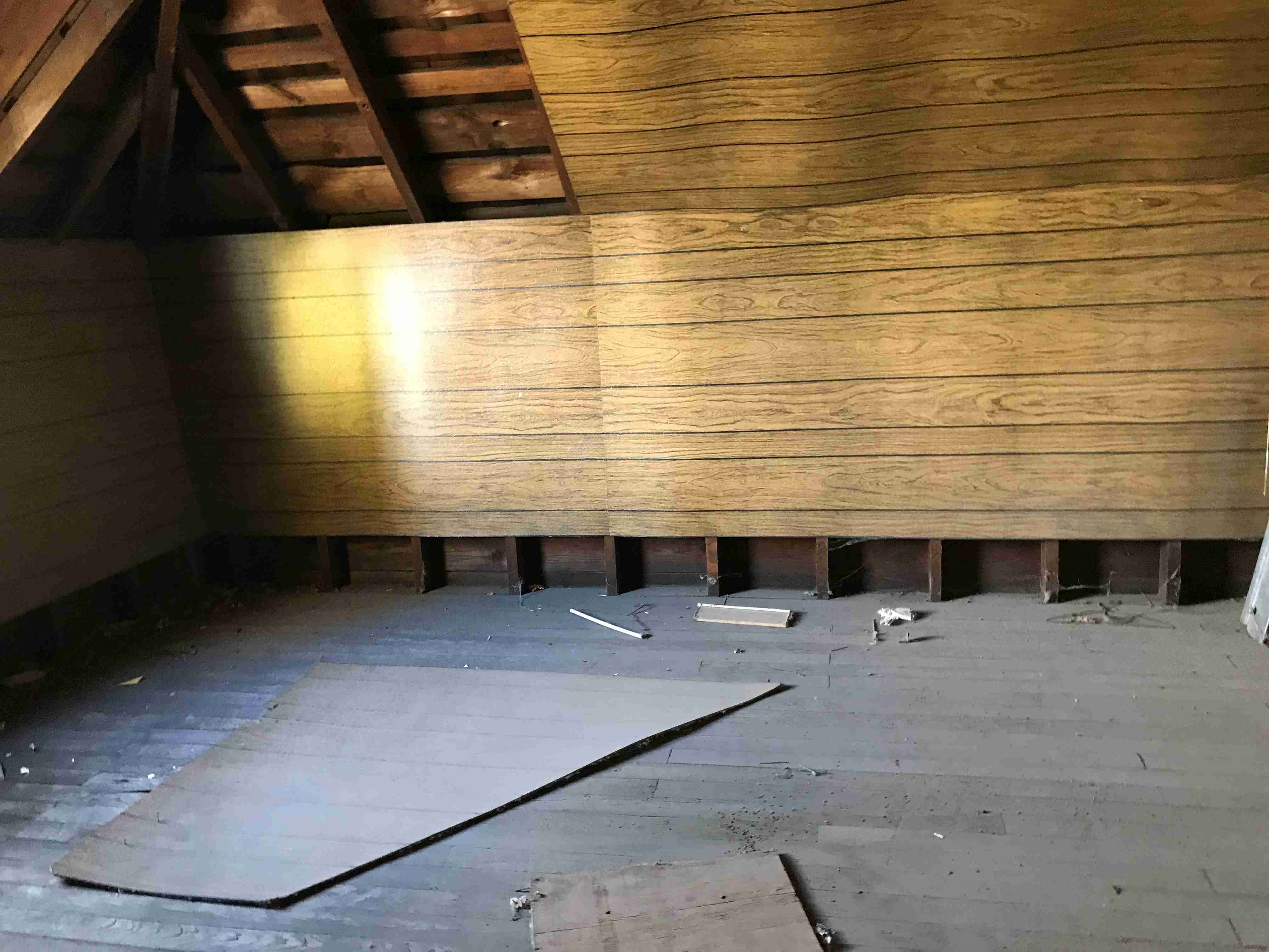 Photo Oct 13, 3 49 43 PM.jpg